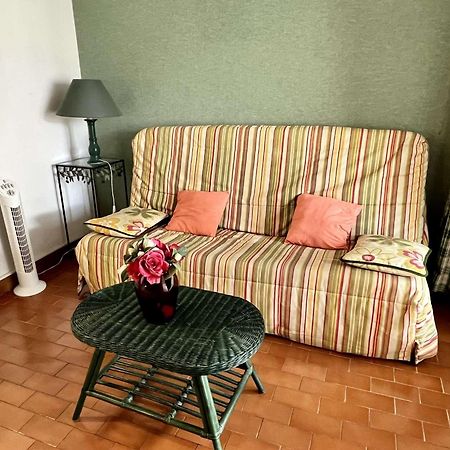 Studio A Argeles-Sur-Mer, 400M De La Plage Et Proche Commerces, Loggia, Animaux Bienvenus, Menage Inclus - Fr-1-225-548 Εξωτερικό φωτογραφία